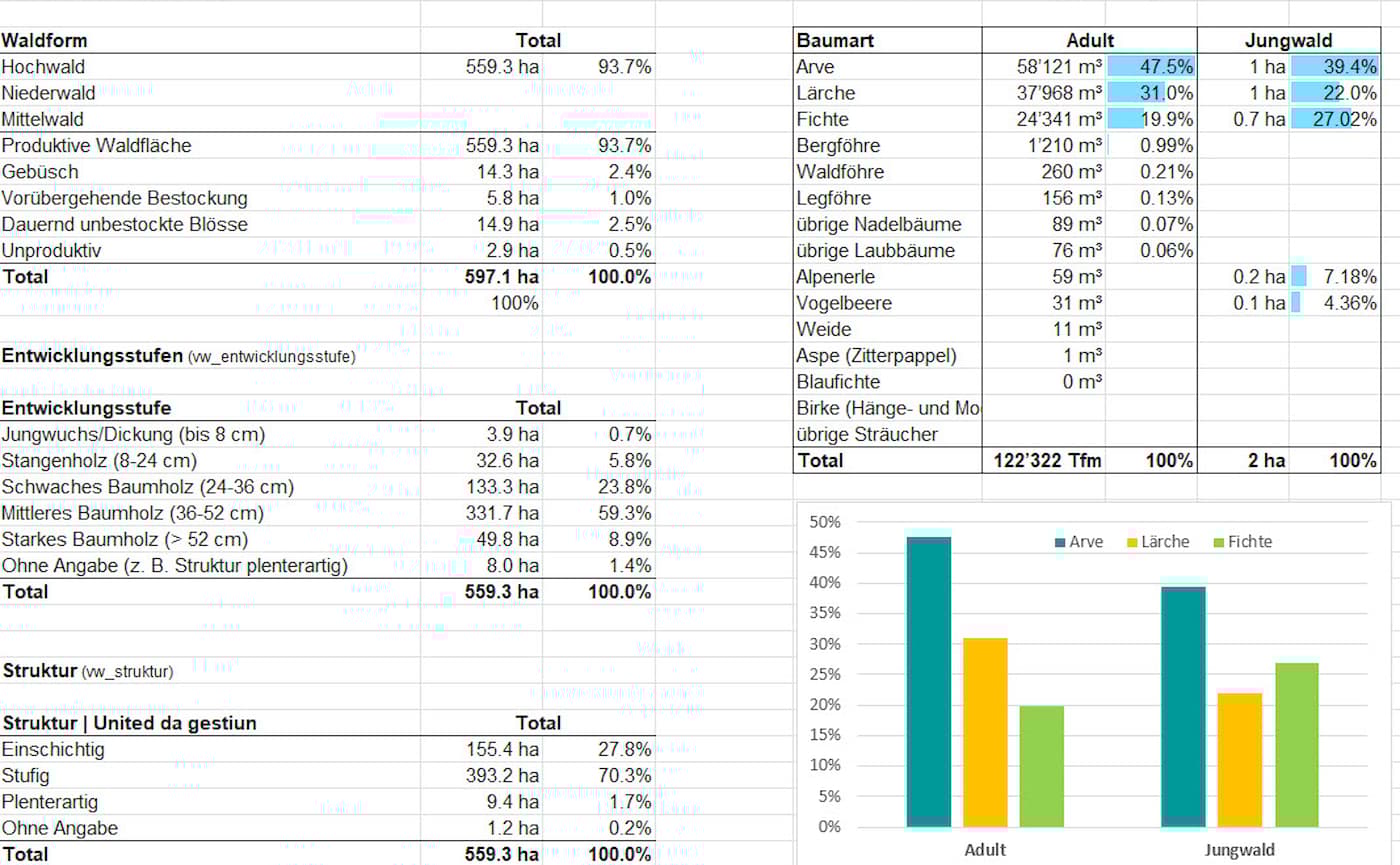 Forstlicher Betriebsplan St. Moritz